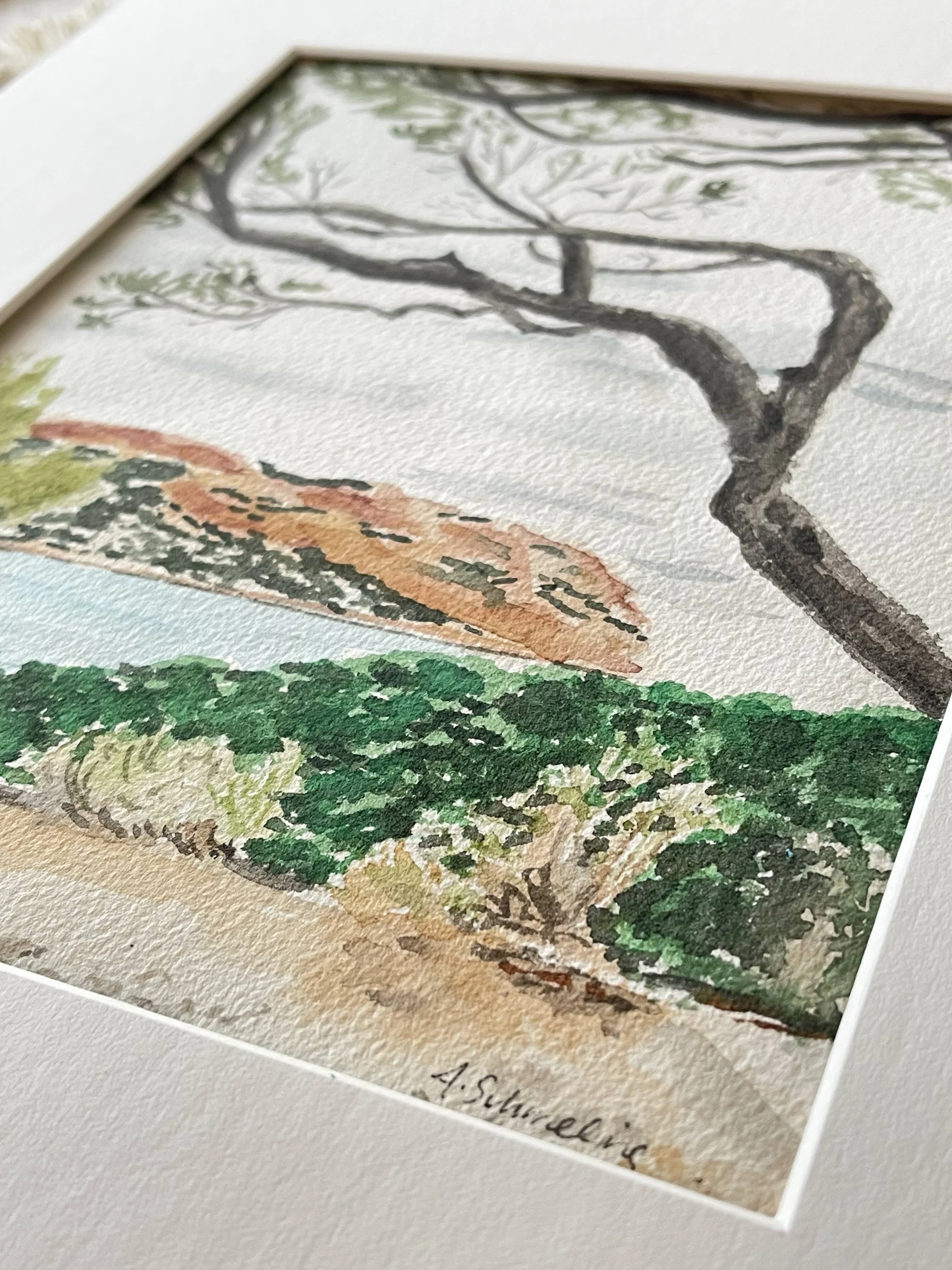 Under the Trees, Cassis, France — Alexandra Schmeling Fine Art